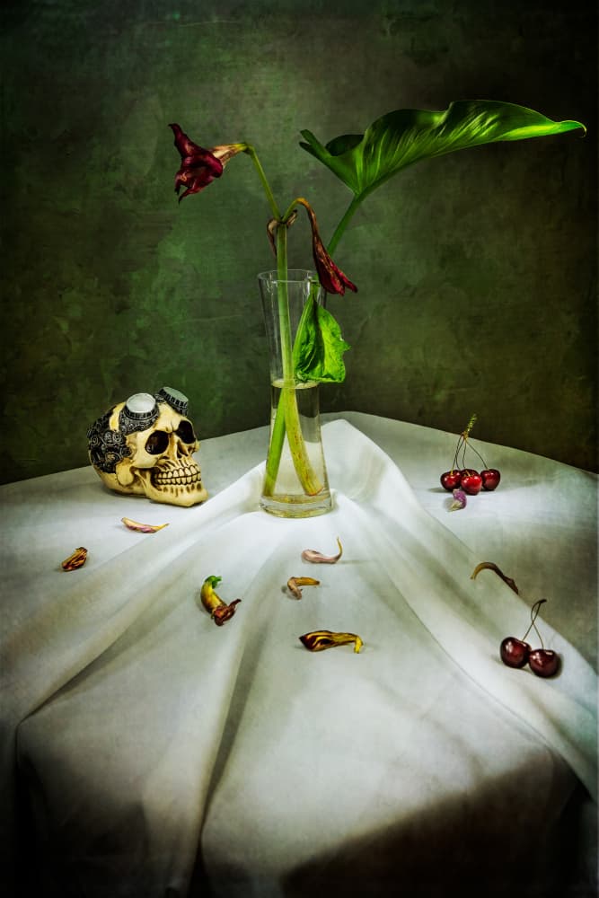 Gothic Skull Vanitas by Felice Angelino — canvas wall art