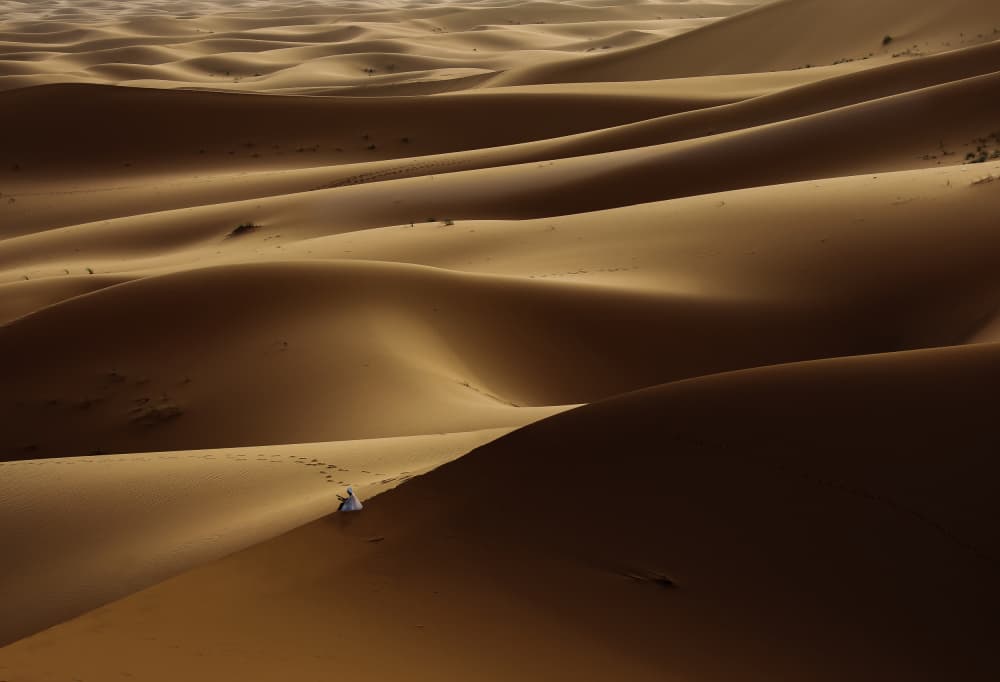 Desert Solitude by Clas Gustafson PRO — canvas wall art