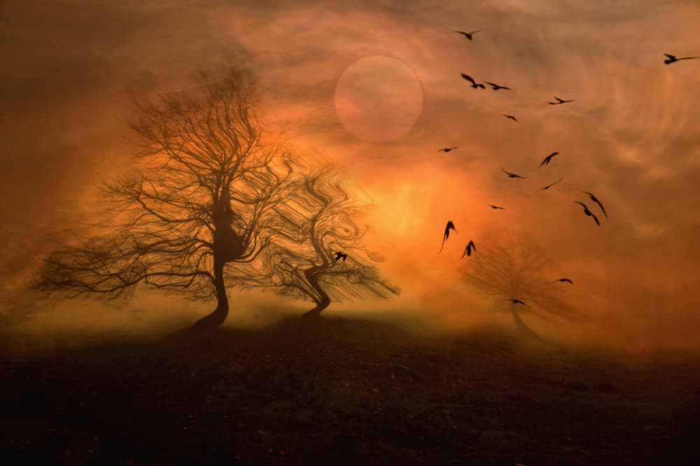 Misty Orange Sunset by Robert Fabrowski — canvas wall art