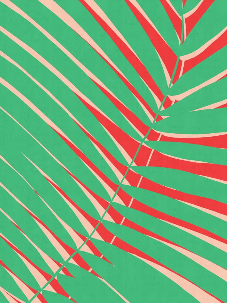 Green Red Palm Leaf by Vitor Costa — canvas wall art