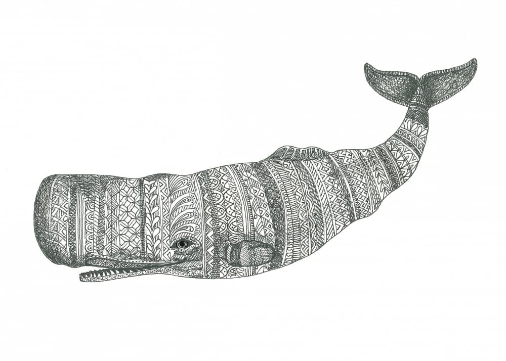 Patterned Whale by Isabelle Brent — canvas wall art