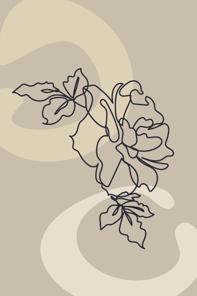 Abstract Line Rose by Anna Rose — canvas wall art