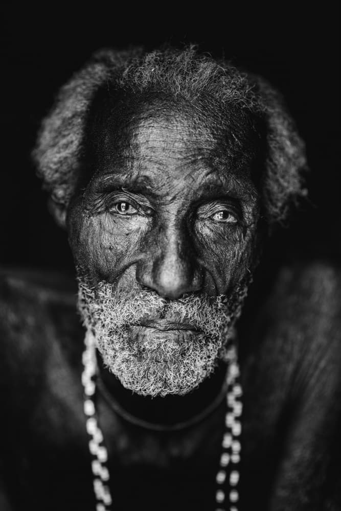 Elder's Deep Gaze by Trevor Cole — canvas wall art