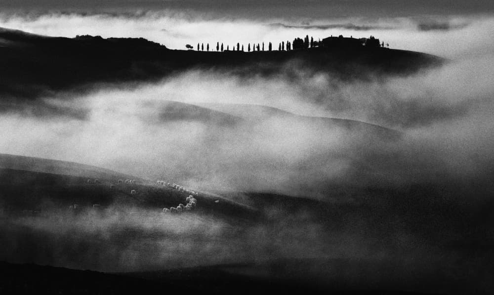 Misty Tuscan Hills by Peter Svoboda MQEP — canvas wall art