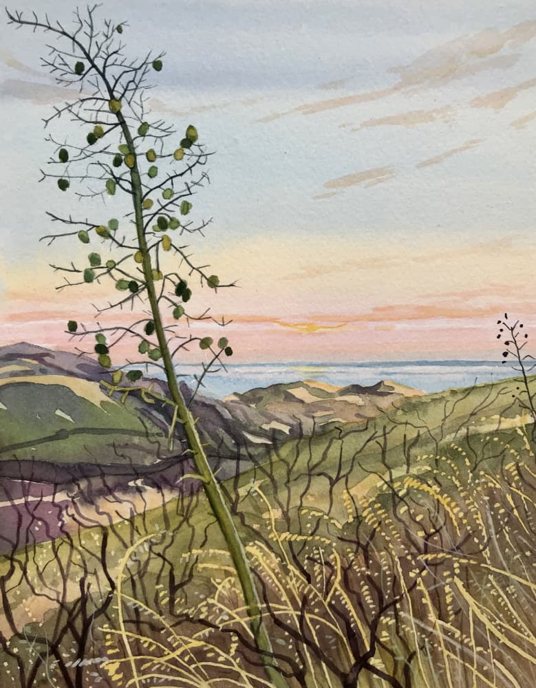 Coastal Plant Sunset View by Luisa Millicent — canvas wall art
