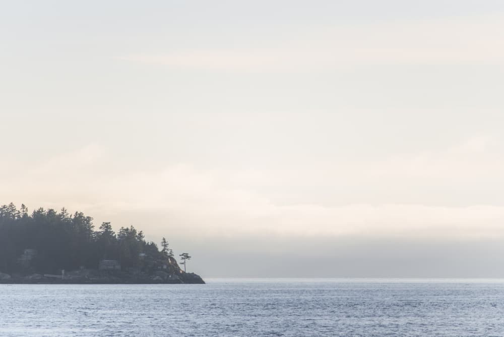 Misty Island Coast by Lynann Colligan — canvas wall art