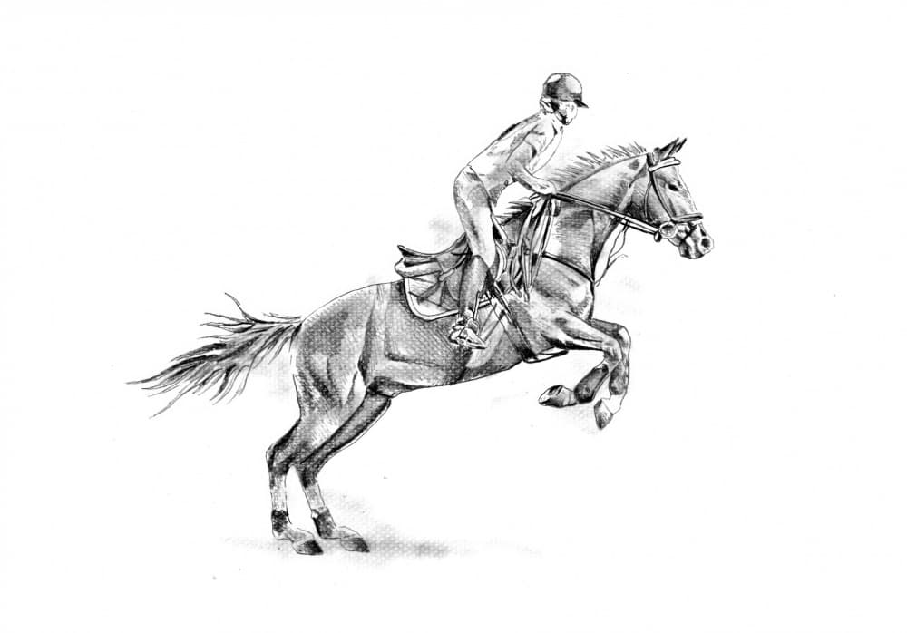 Equestrian Horse Jump by Kulik — canvas wall art