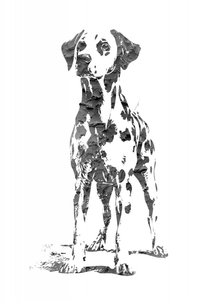 Elegant Spotted Dalmatian by Rafal Kulik — canvas wall art