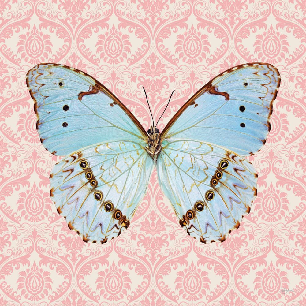 Blue Butterfly Damask by Sue Skellern — canvas wall art