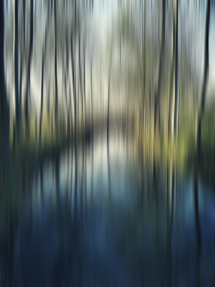 Blurred Forest Reflections by Angelo Cerantola — canvas wall art