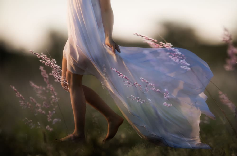 Ethereal Field Walk by Charlaine Gerber — canvas wall art