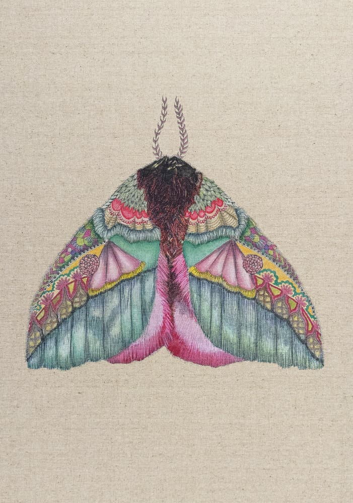 Colorful Ornate Moth by ZAM.ROD — canvas wall art
