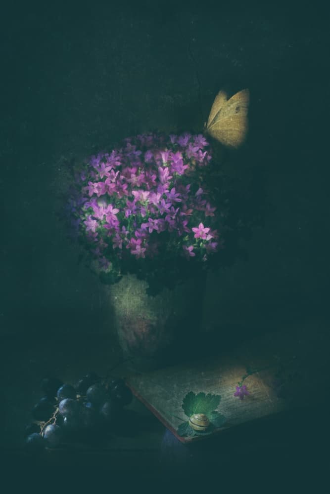 Elegant Butterfly Still Life by Delphine Devos — canvas wall art