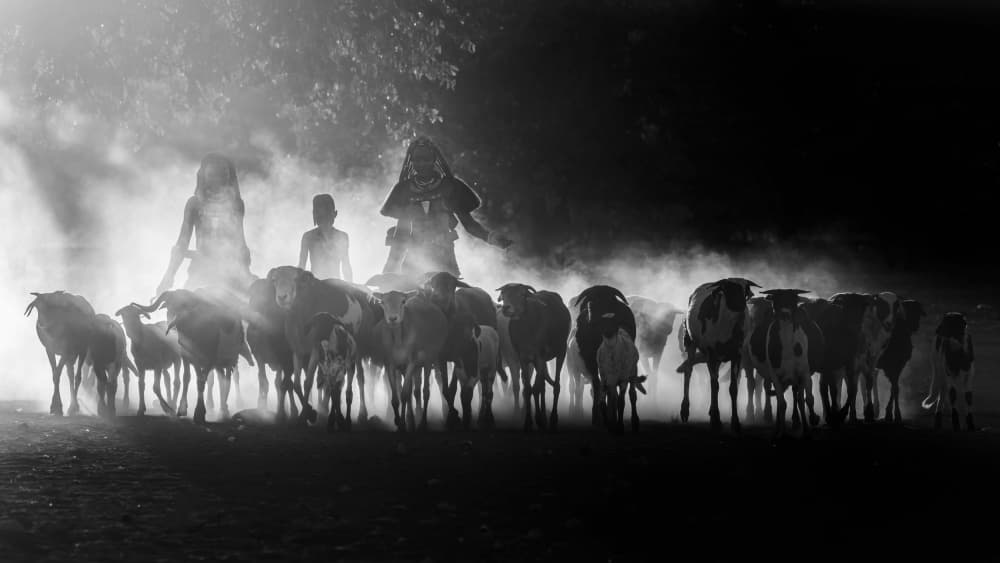 Silhouettes Through Dust by Joan Zhang — canvas wall art