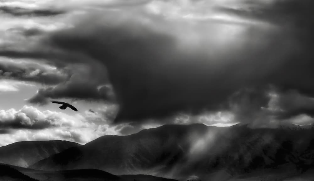 Bird Over Stormy Mountains by Yvette Depaepe — canvas wall art