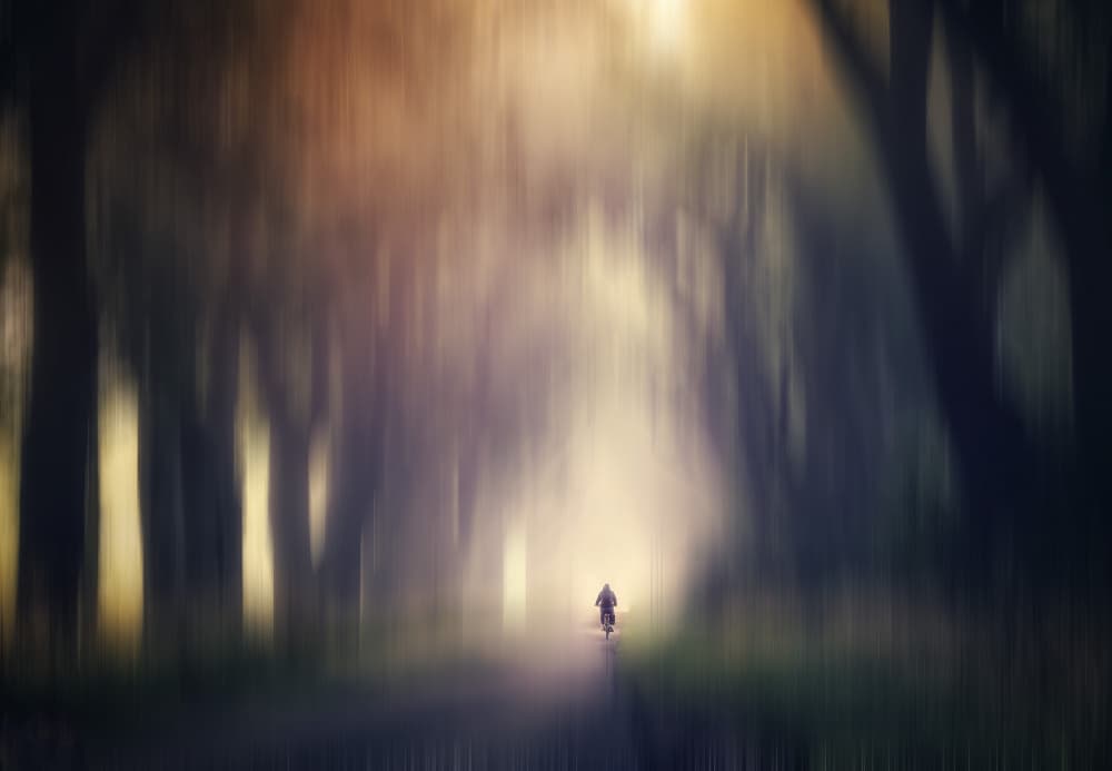 Cycling Through Light by Hilda van der Lee — canvas wall art