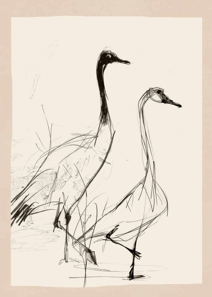 Elegant Cranes Sketch by Nadjaa — canvas wall art