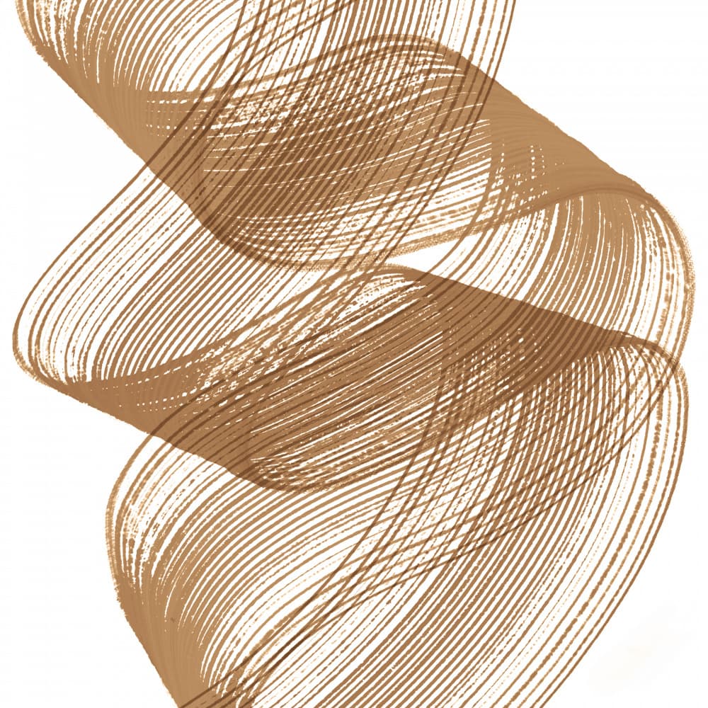 Flowing Brown Curves by Martina — canvas wall art
