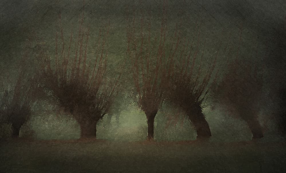 River landscape by Nel Talen — canvas wall art