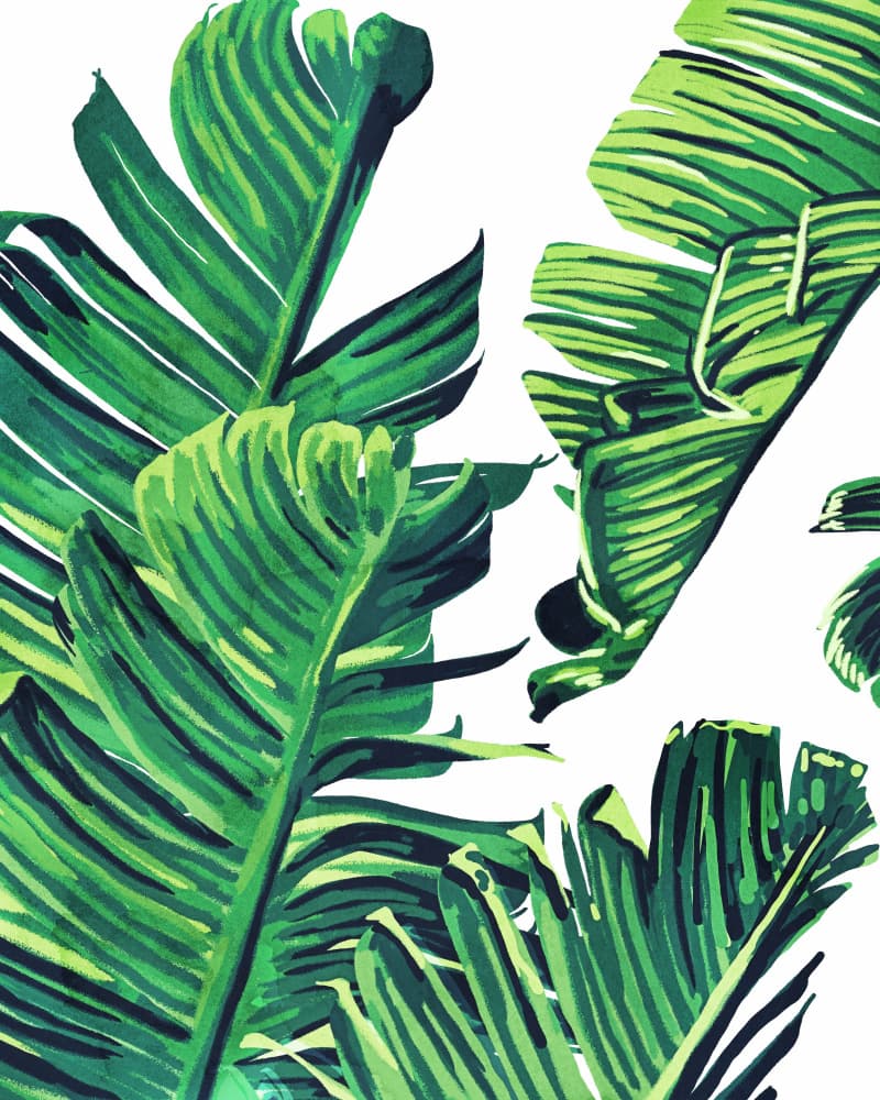 Vibrant Tropical Leaves by Uma Gokhale — canvas wall art