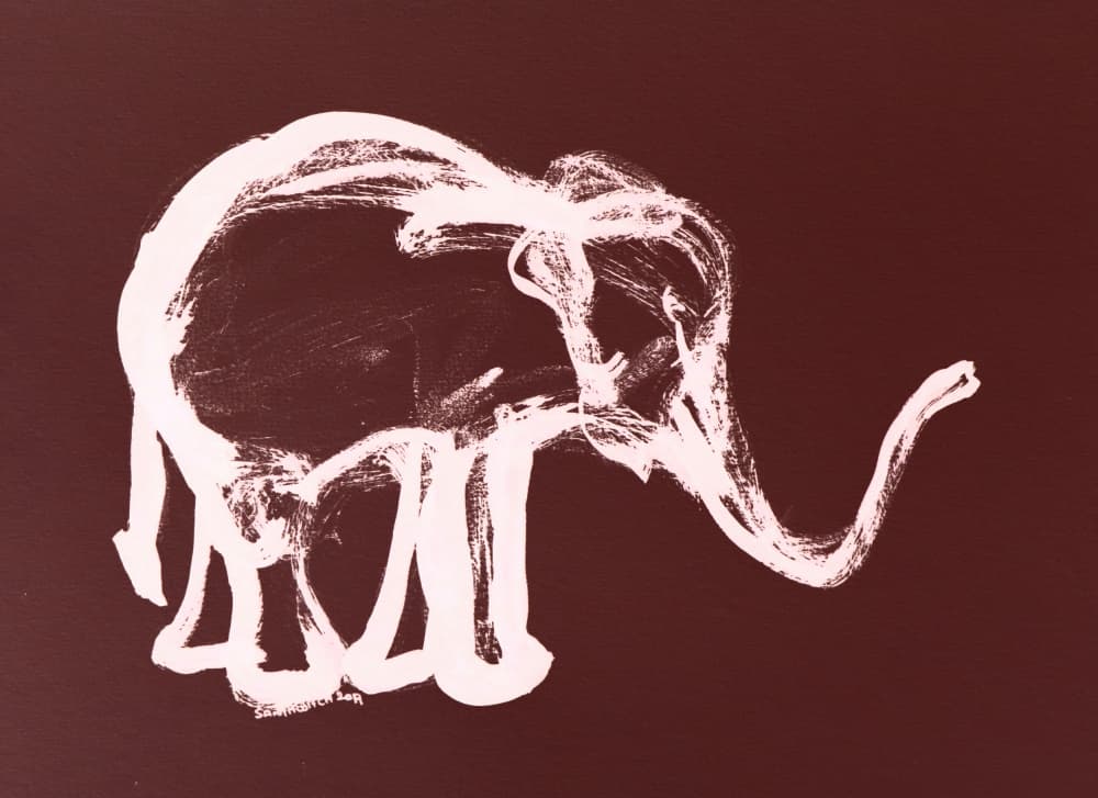 White Elephant Drawing by Santhosh ch — canvas wall art