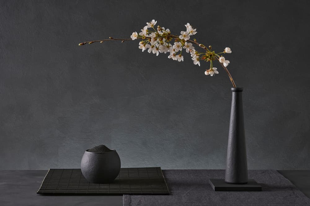 Zen Blossom Still Life by Christophe Verot — canvas wall art