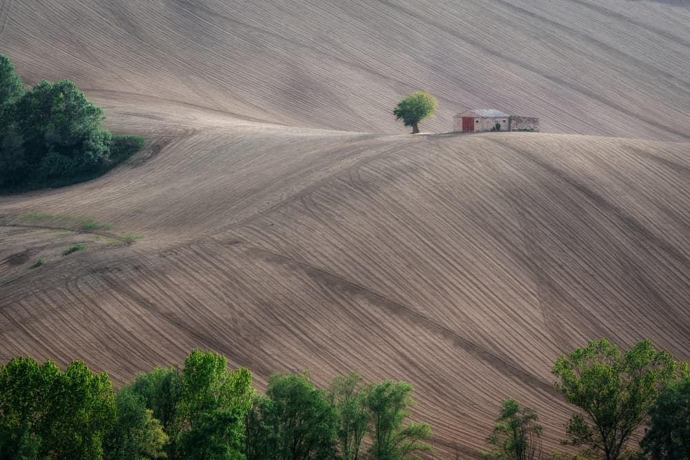 Rolling Fields Homestead by Sergio Barboni — canvas wall art