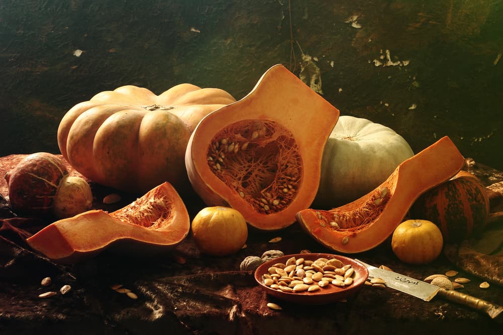 Autumn Harvest Still Life by UstinaGreen — canvas wall art