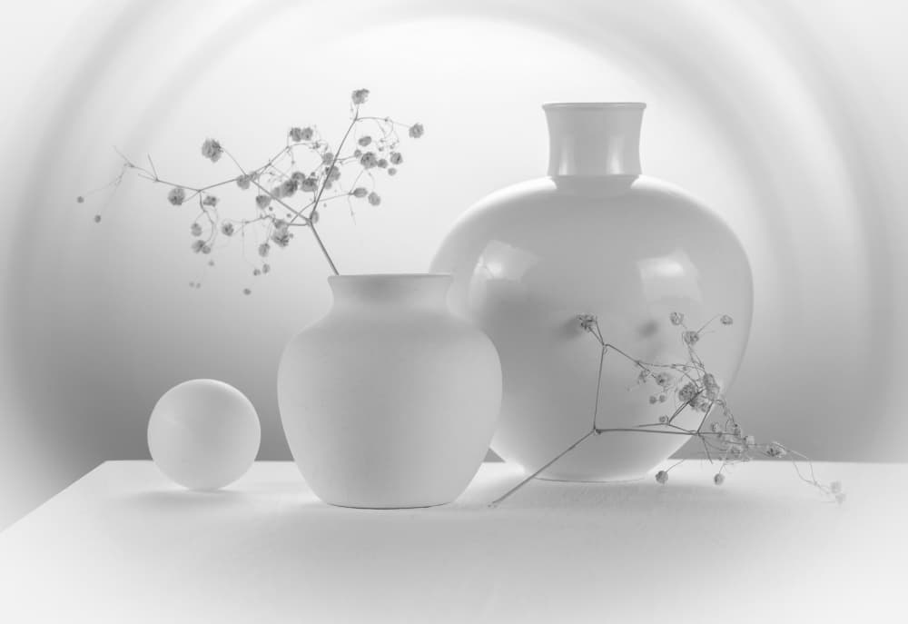 White Still Life by Evgeniy Popov — canvas wall art