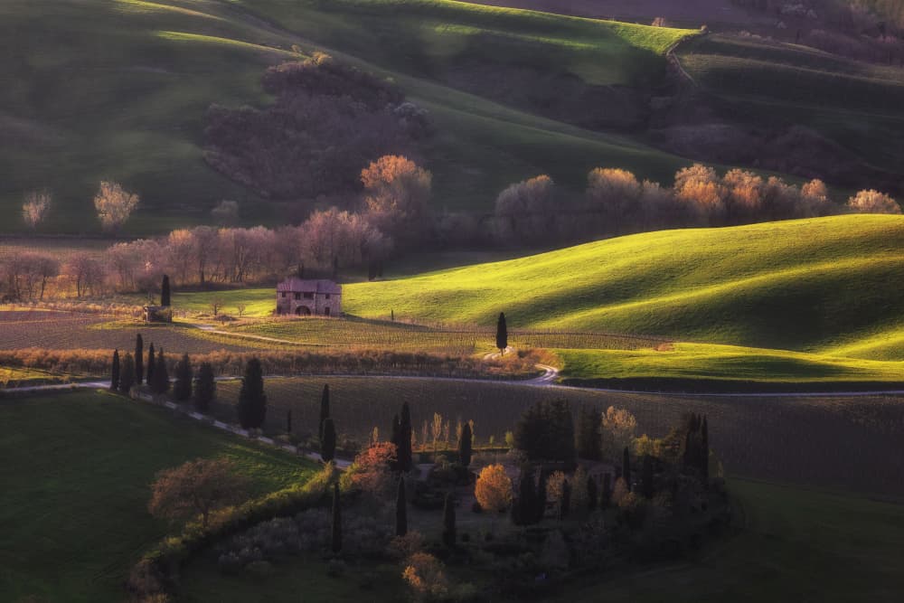 Sunlit Rolling Hills by Uschi Hermann — canvas wall art