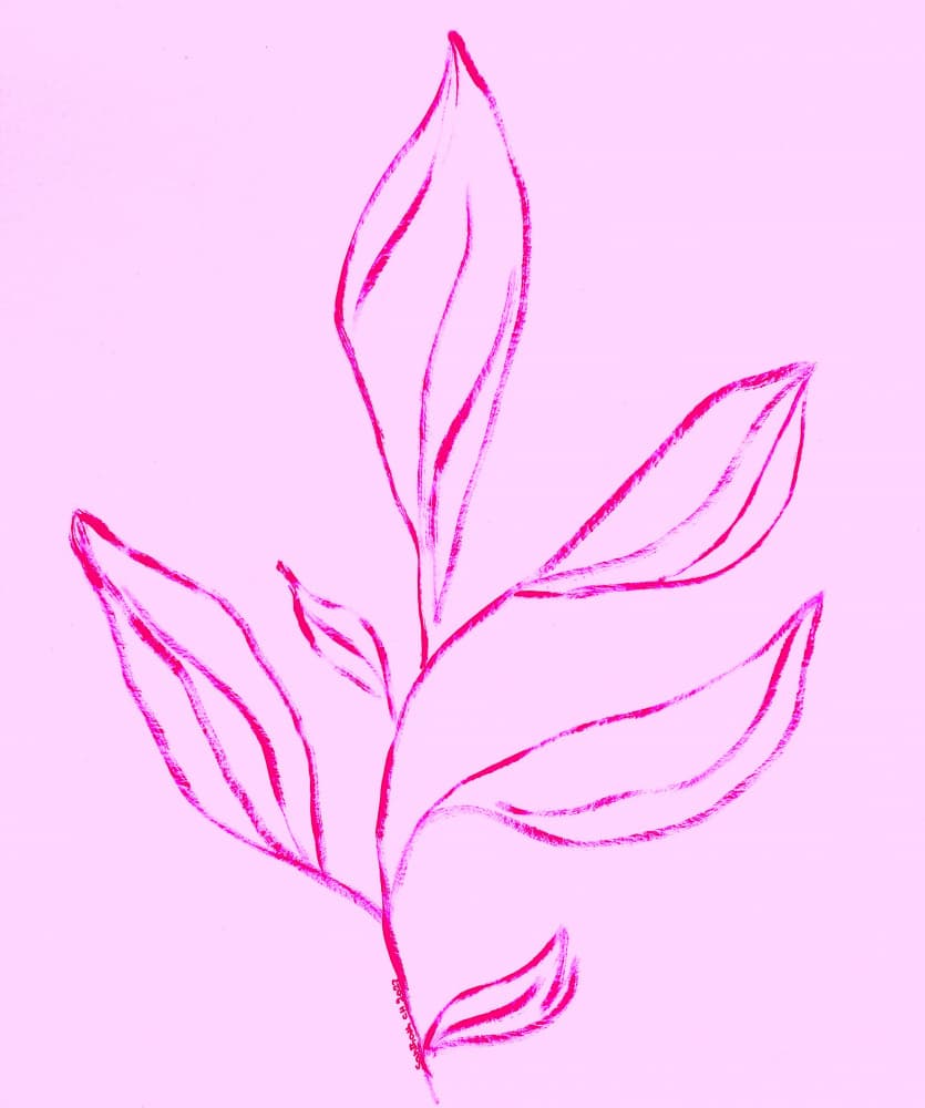 Pink Botanical Line Art by Santhosh ch — canvas wall art