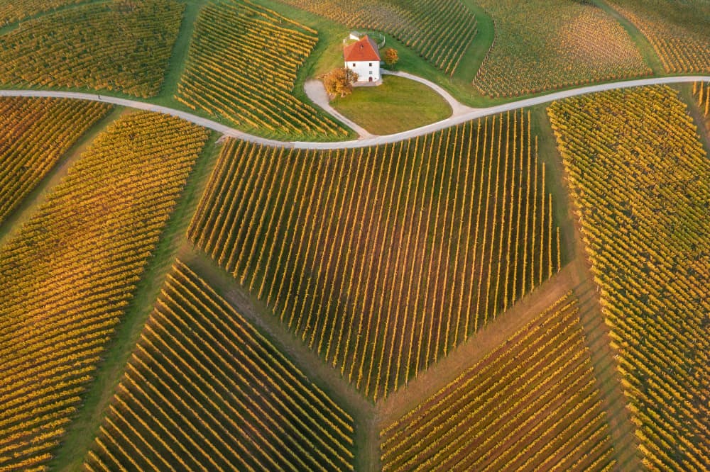 Autumn Vineyard House by Jure Kravanja — canvas wall art