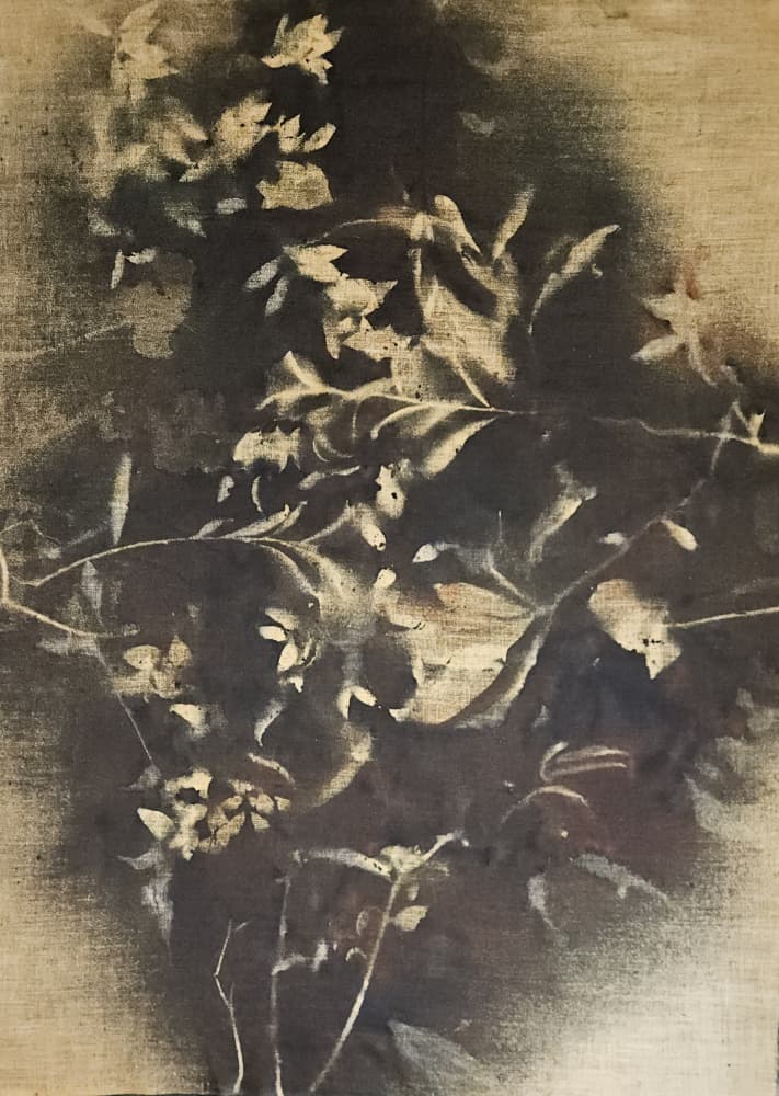 Moody Floral Shadows by Stefano Mazzolini — canvas wall art
