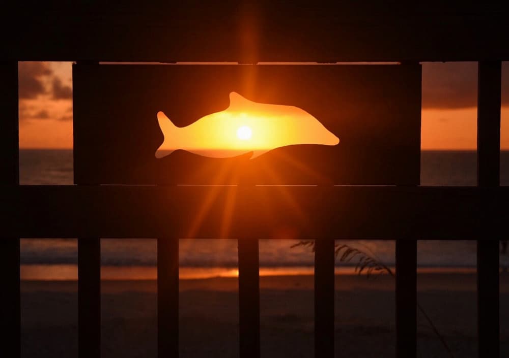 Golden Dolphin Sunset by Del Mundo Imagery — canvas wall art