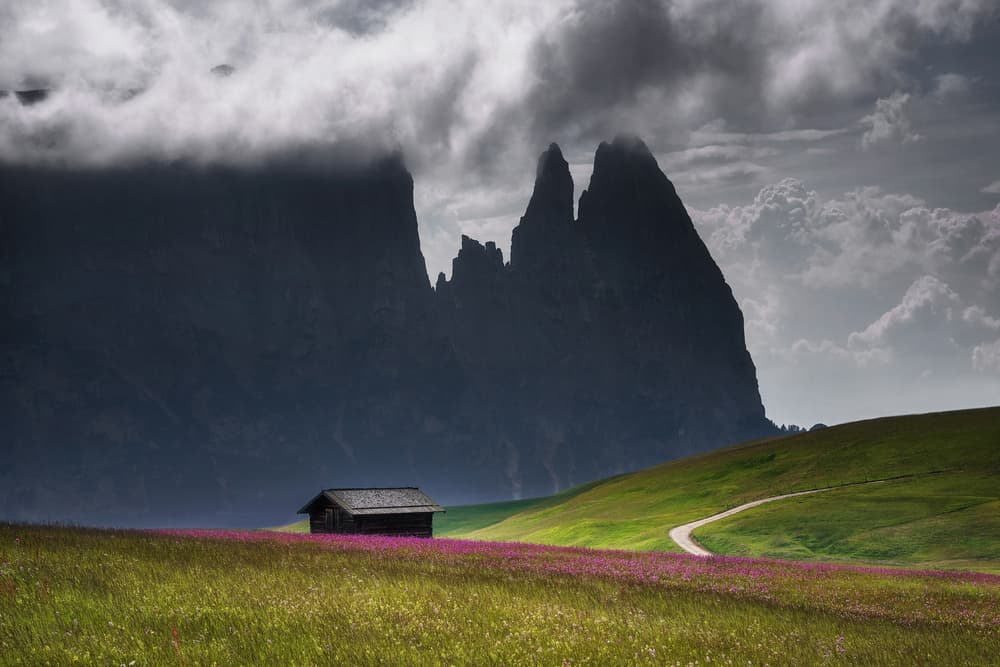 Mountain Meadow Cabin by Ales Krivec — canvas wall art
