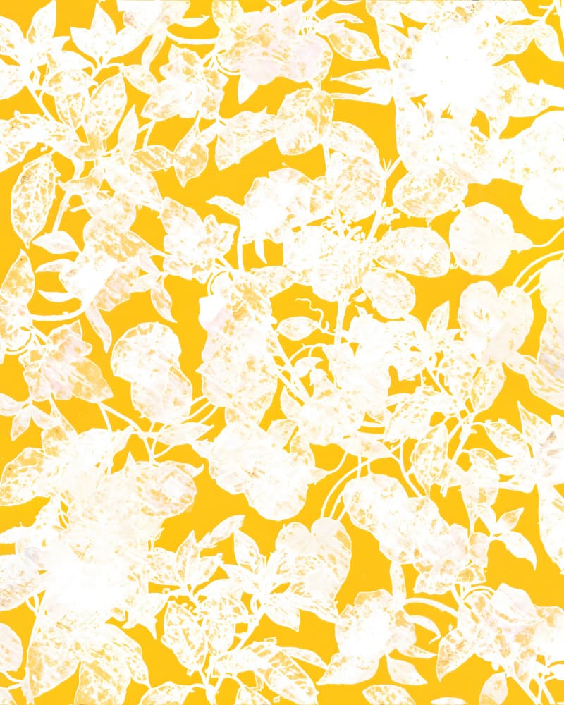 Sunny Floral Pattern by Uma Gokhale — canvas wall art