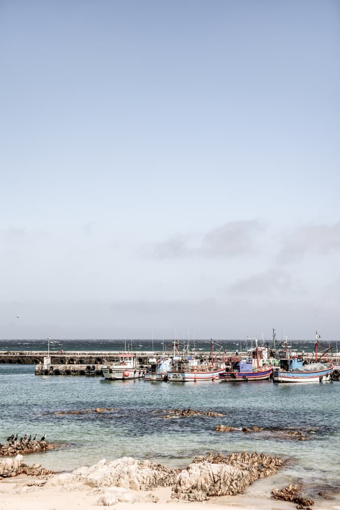 Harbor Serenity by Shot by Clint — canvas wall art