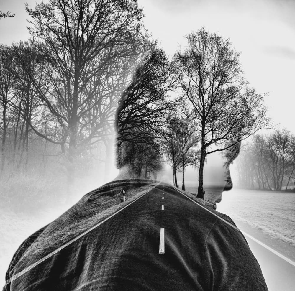 Journey of Thought by Robert Kuavi — canvas wall art
