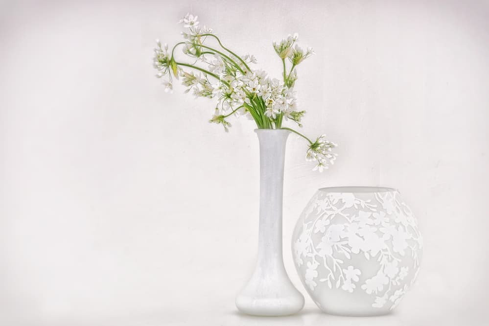 Star-of-Bethlehem by Marie-anne Stas — canvas wall art