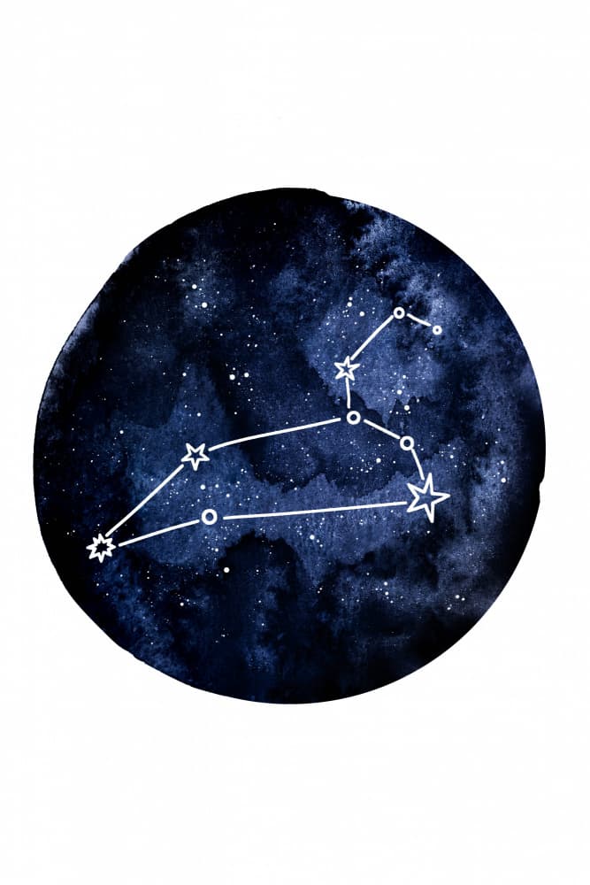 Cosmic Leo Constellation by EMELIEmaria — canvas wall art