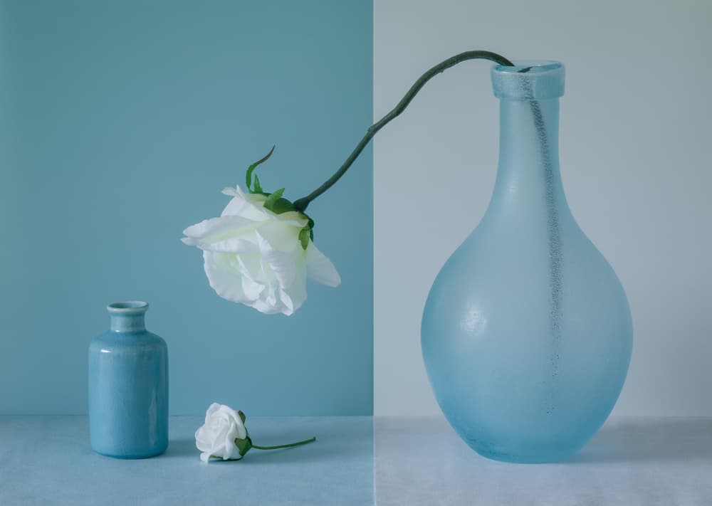 Serene Blue Rose by Jacqueline Hammer — canvas wall art