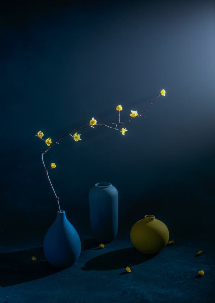 Moody Floral Vases by Summer2016 — canvas wall art