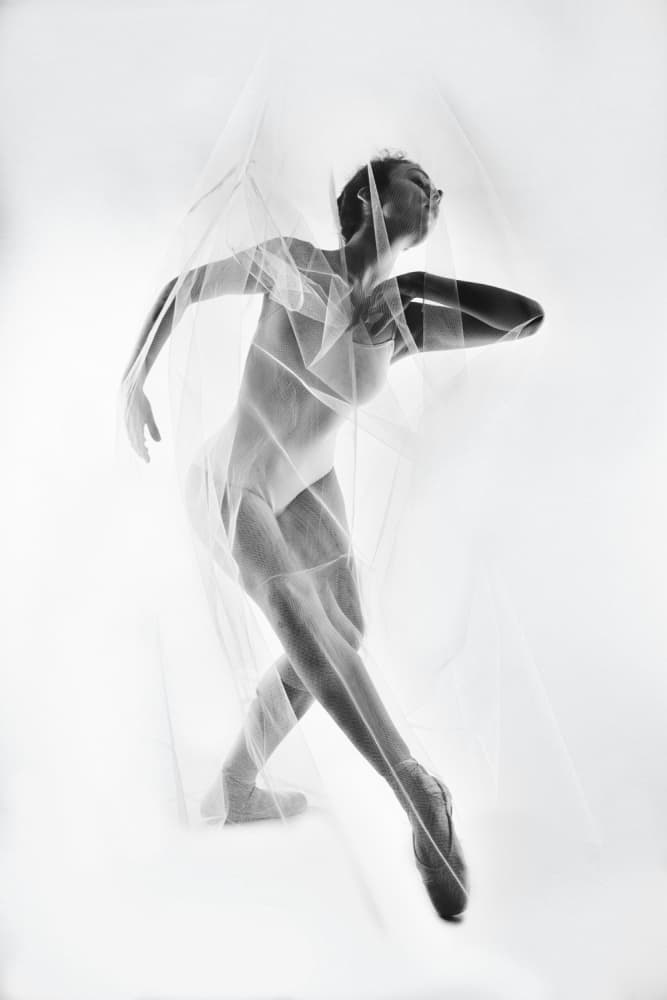 Graceful Ballerina Movement by Alexandr — canvas wall art