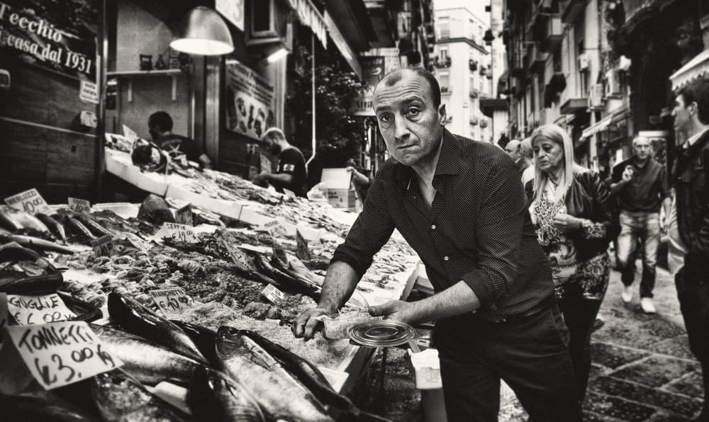 Fish Market Gaze by Antonio Grambone — canvas wall art