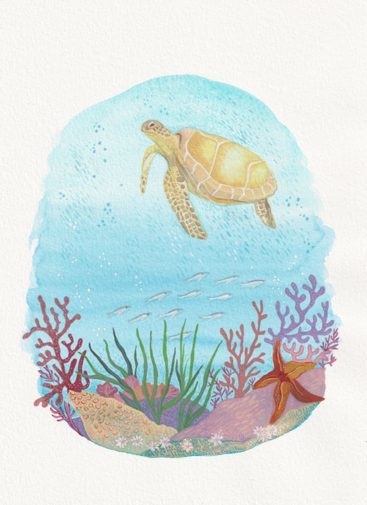 Swimming Sea Turtle by Anjana Mistry — canvas wall art