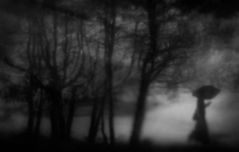 Solitary Walk Dark Forest by Teruhiko Tsuchida — canvas wall art