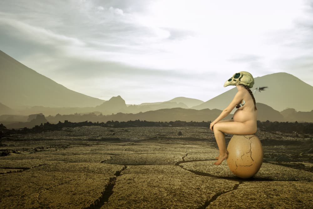 Surreal Desert Birth by Christine von Diepenbroek — canvas wall art
