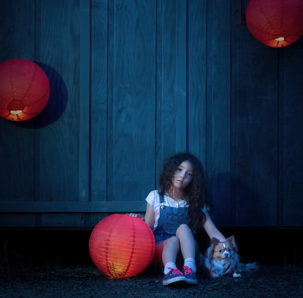 Girl Dog Lantern Glow by Catherine Wang — canvas wall art