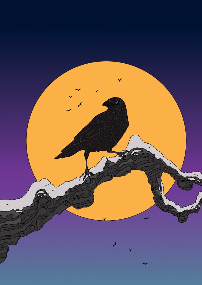 Moonlit Winter Crow by Nicholas — canvas wall art
