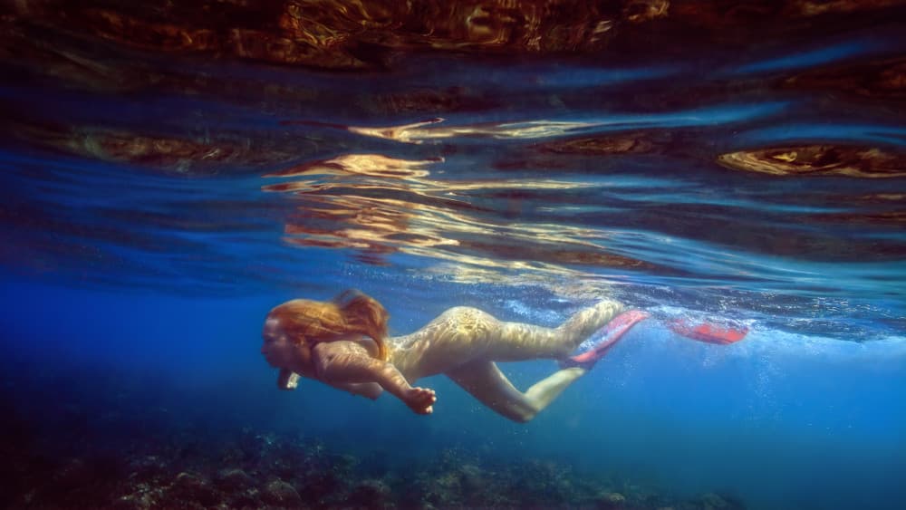 Serene Underwater Swim by Dmitry Frizel — canvas wall art